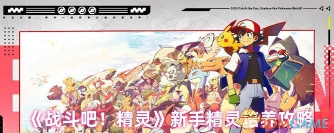 《战斗吧!精灵》新手精灵培养攻略