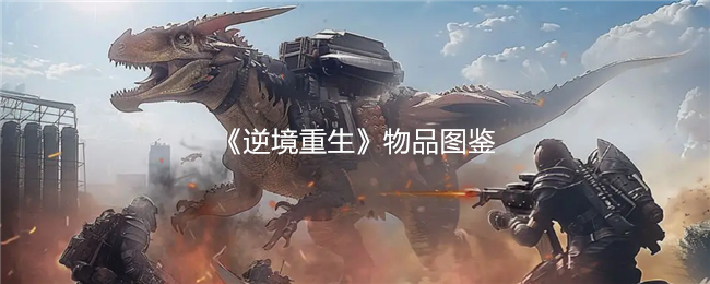 《逆境重生》物品图鉴