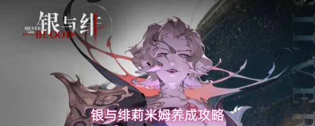 银与绯莉米姆养成攻略