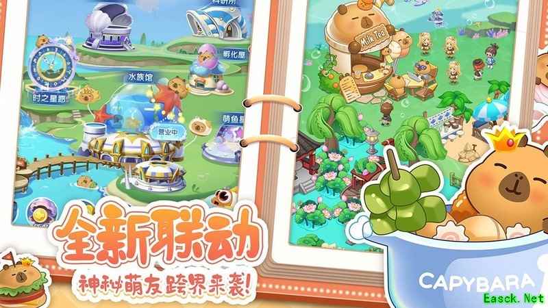 萌鱼泡泡新手避坑指南