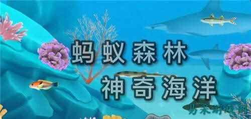 神奇海洋今日答案5月29日 神奇海洋今日最新正确答案