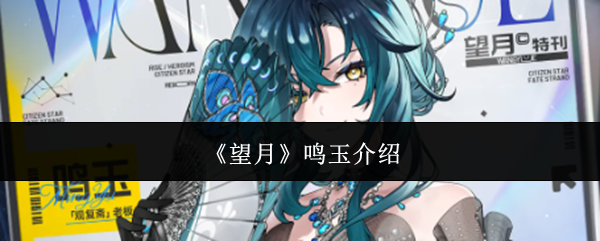 《望月》鸣玉介绍
