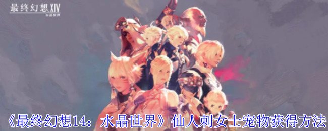 《最终幻想14:水晶世界》仙人刺女士宠物获得方法