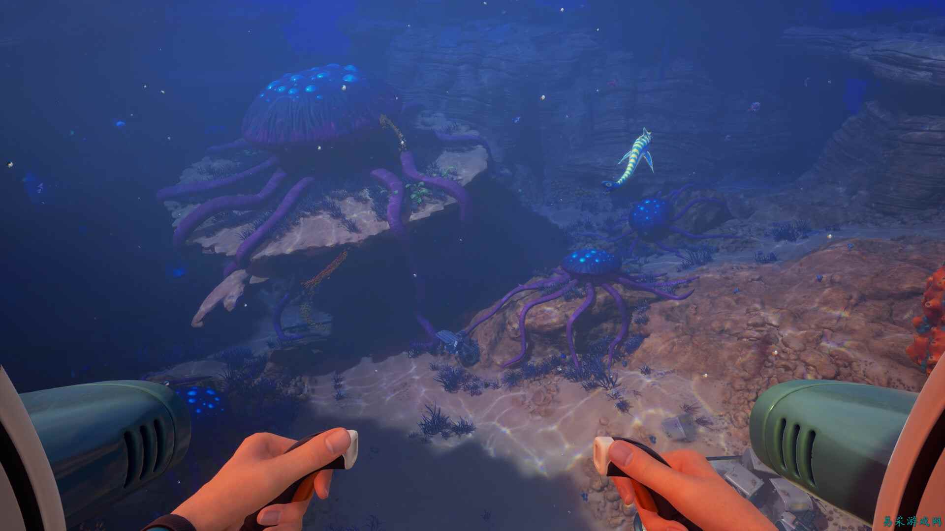 《深海迷航2》热修复进一步调整生物行为，部分掠食者攻击玩家频率降低。