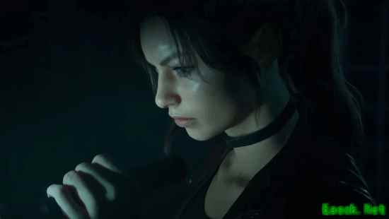 《生化危机：代号维罗妮卡 重制版》全称第三人称！不会删减原有内容