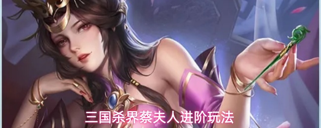 三国杀界蔡夫人进阶玩法