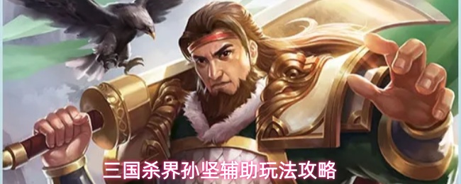 三国杀界孙坚辅助玩法攻略