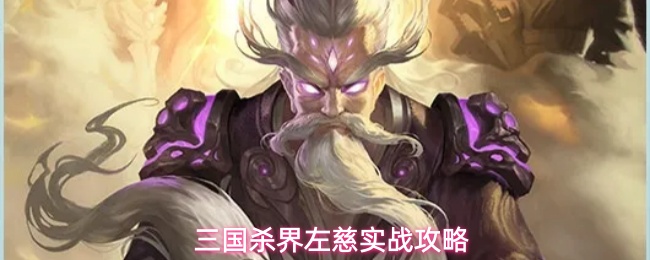 三国杀界左慈实战攻略