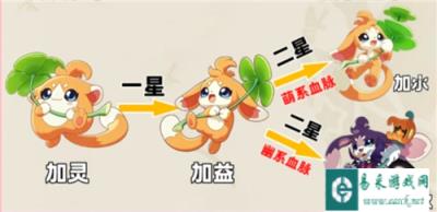 洛克王国世界S3加灵进化攻略 S3加灵怎么进化
