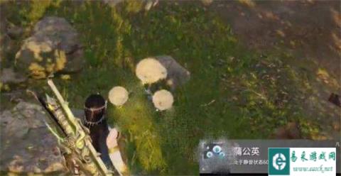 永劫无间手游蒲公英有什么用 蒲公英功效一览