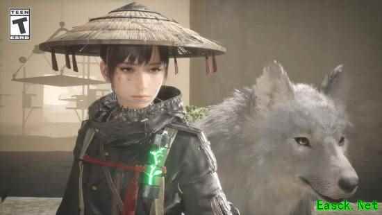 轮回之兽2026年8月4日发售：即时+回合融合的犬伴ARPG