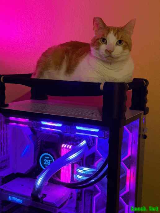 小猫爱趴主机睡觉有大危险！女玩家自制"吊床"补救