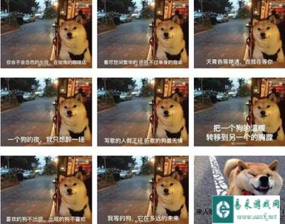 御龙在天手游脱单秘籍 单身狗必备法宝