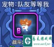 最没用的宠物？野蛮人大作战队友等等我