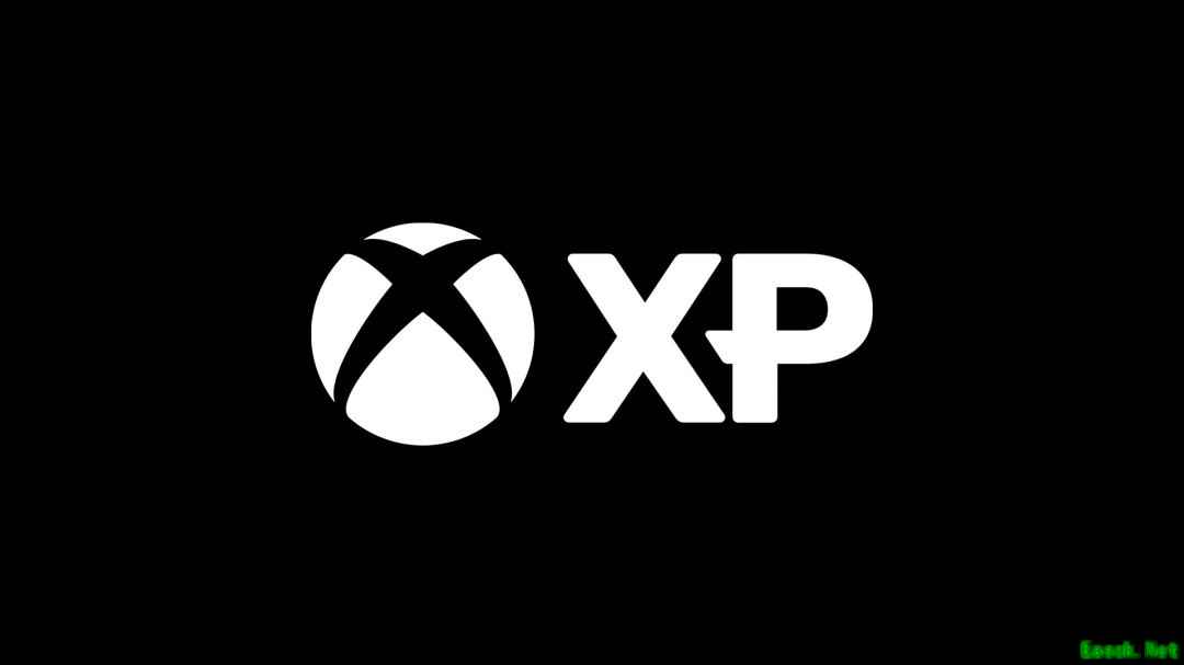 微软成立XP部门,统筹Xbox游戏IP影视化、衍生品及线下沉浸式开发