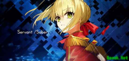 Fate/EXTRA Record港服预购开启,388港元低价破常规